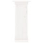 Voir la diapositive 5 : VIDAXL Support à fleurs Blanc 40x40x90 cm Bois de pin solide