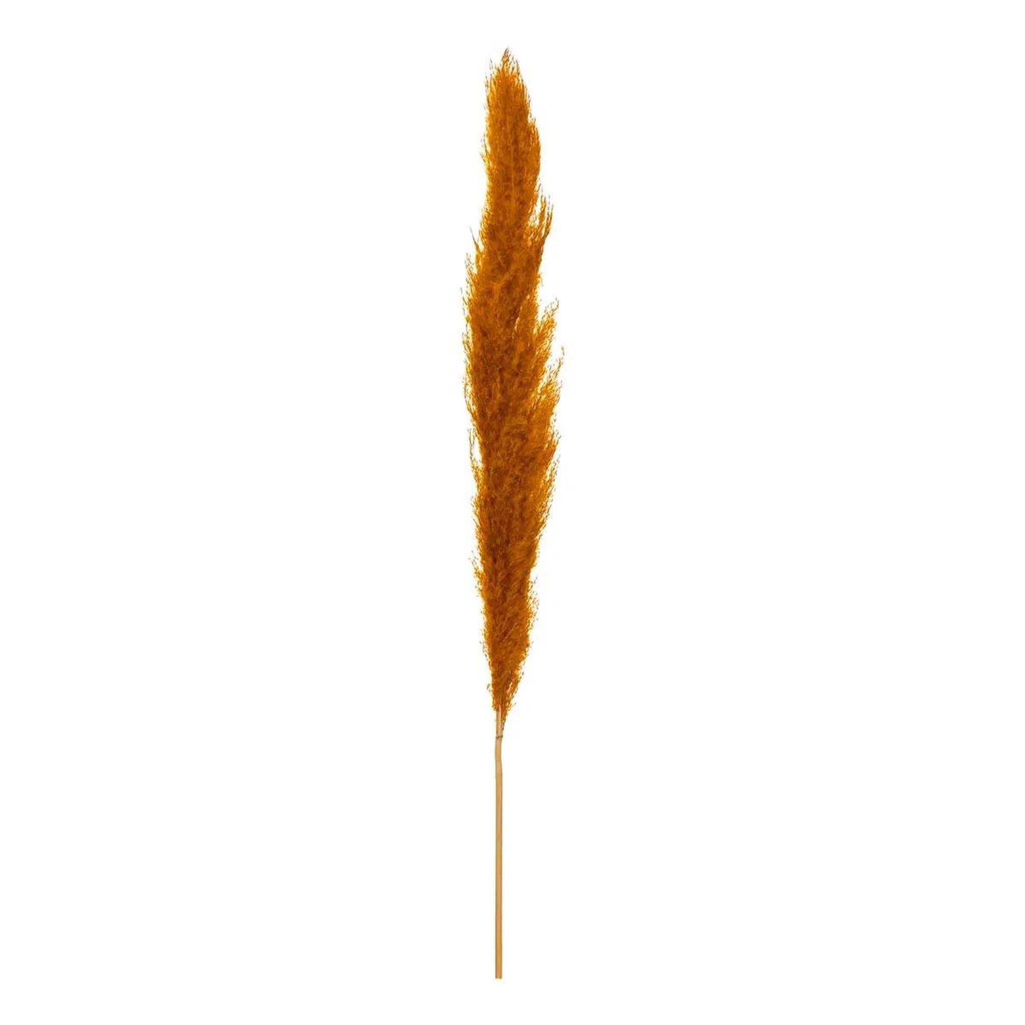 Voir la diapositive 3 : ATMOSPHERA Lot de 3 fleurs artificielles  pampa  109cm orange