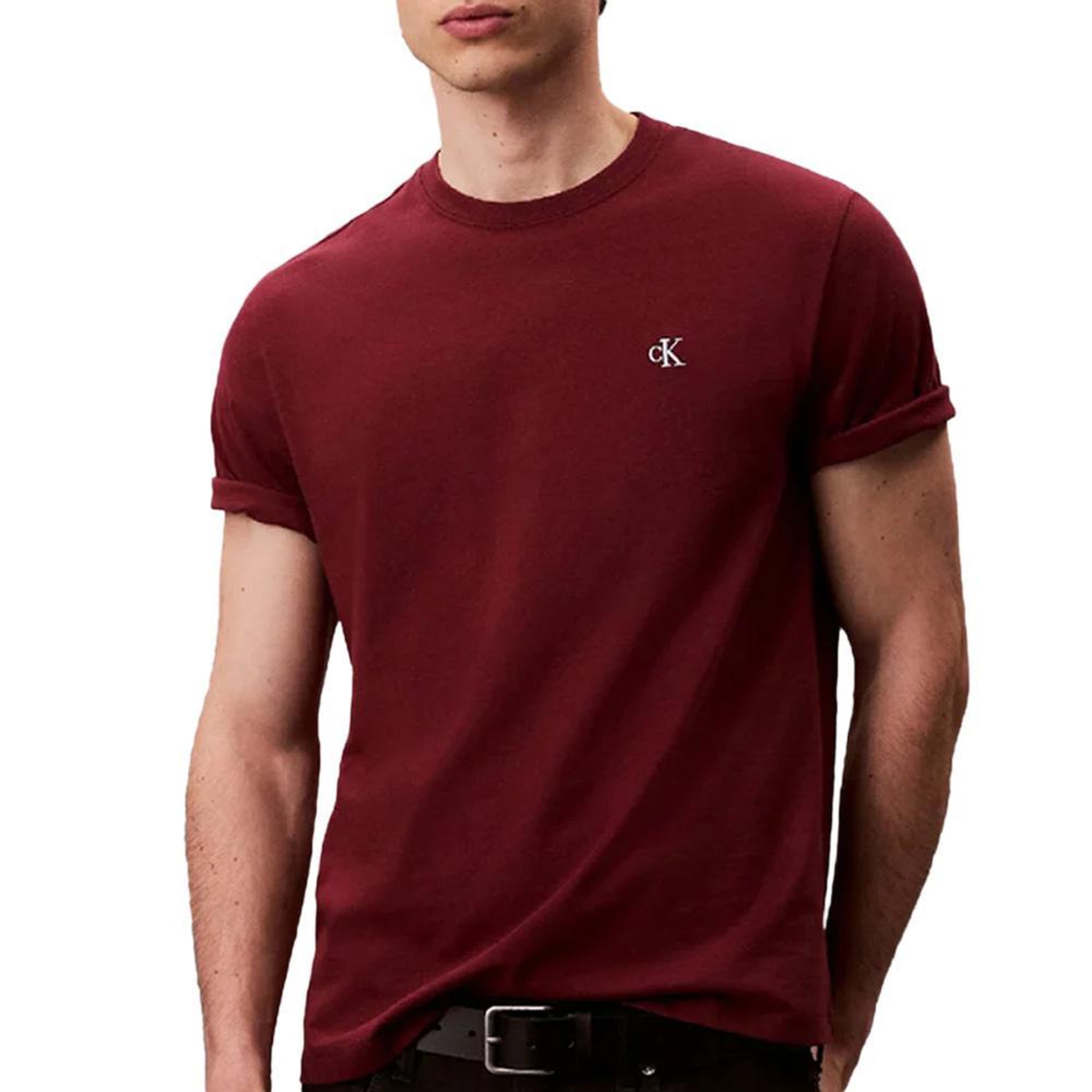 Voir la diapositive 1 : CALVIN KLEIN JEANS T-Shirt Prune Homme Calvin Klein Jeans Easy LV04RC275G