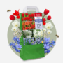 Voir la diapositive 4 : PLANT IN A BOX Mélange de bulbes des Pays-Bas - Set de 125