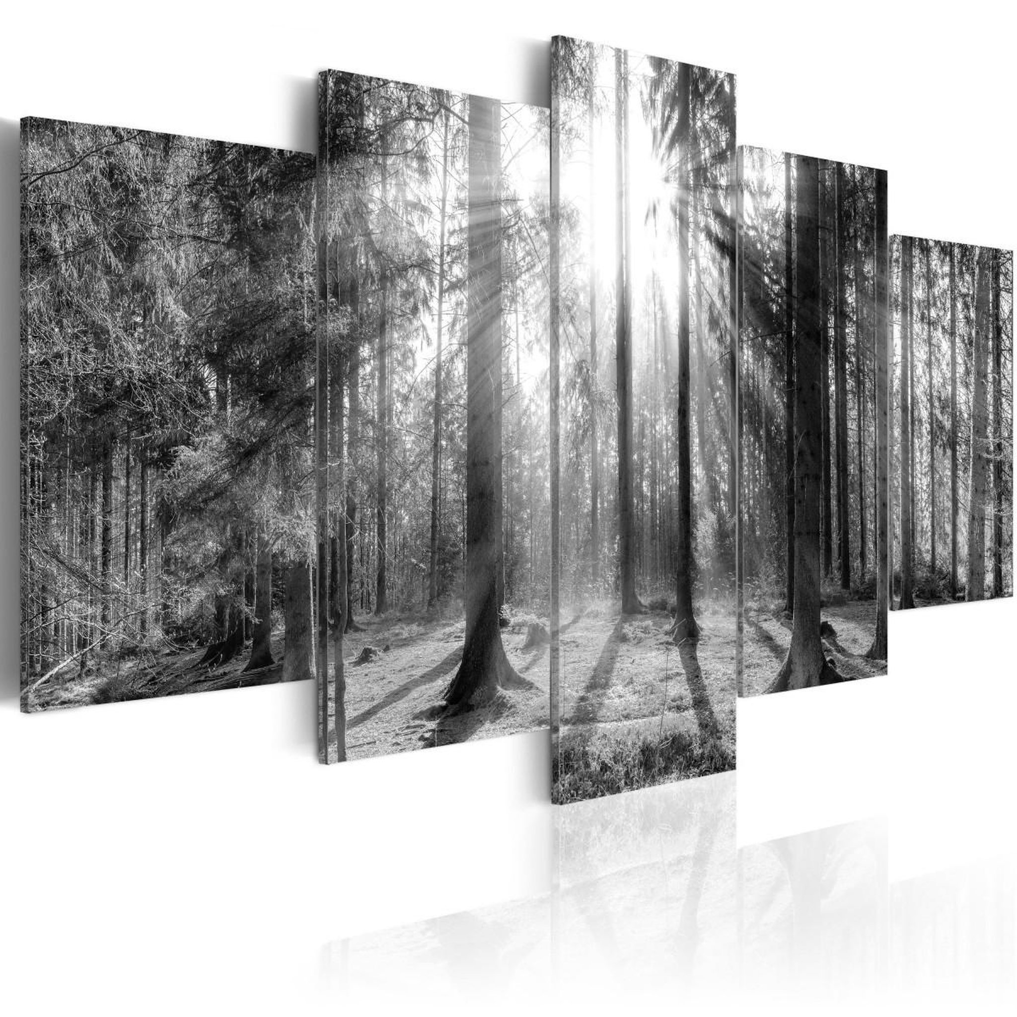 Voir la diapositive 1 : Paris Prix Tableau imprimé  forest of memories