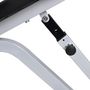 Voir la diapositive 4 : VIDAXL Banc de musculation pour muscles appareil de fitness