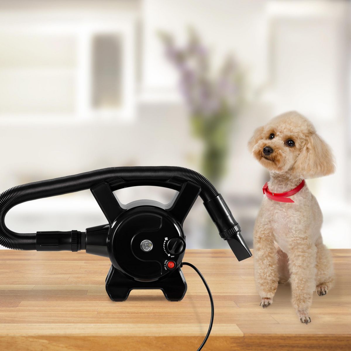 PAWHUT Séchoir sèche-poils toilettage pour chien chat animaux 2400 W - température vitesse réglable - 3 embouts - noir