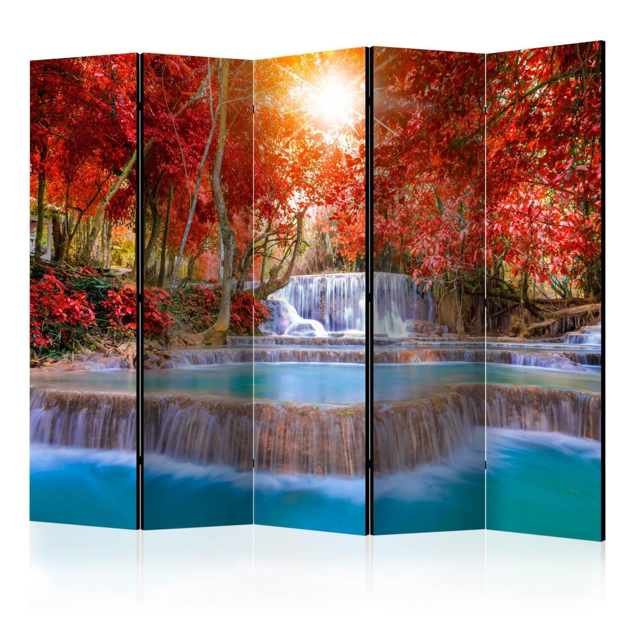 Voir la diapositive 1 : Paris Prix Paravent 5 volets  nature's magic  172x225cm