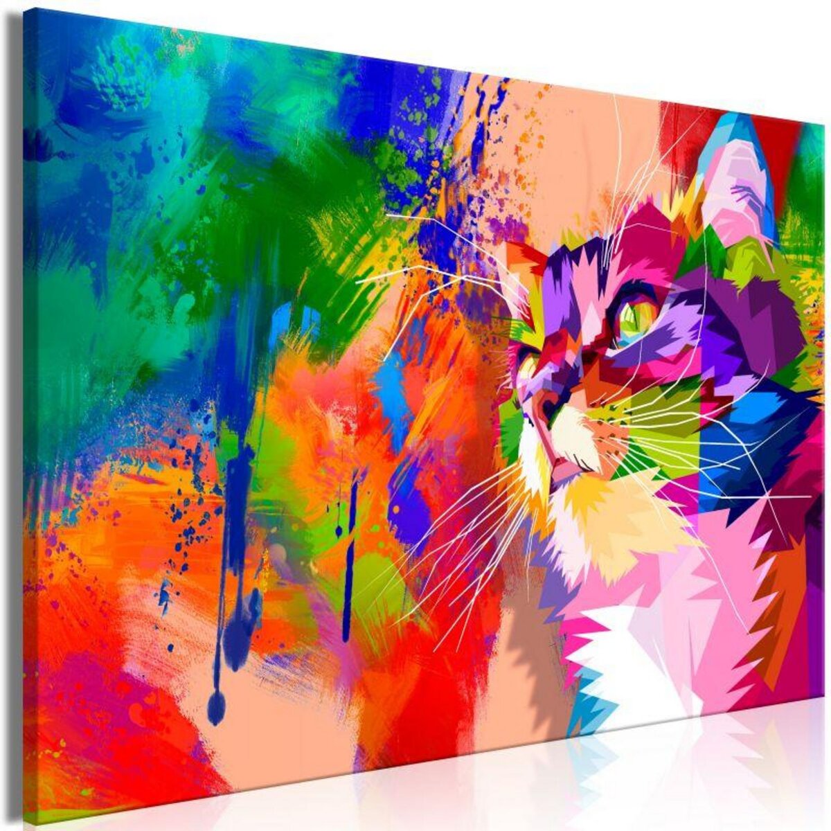 Paris Prix Tableau Imprimé  Colourful Cat Wide 
