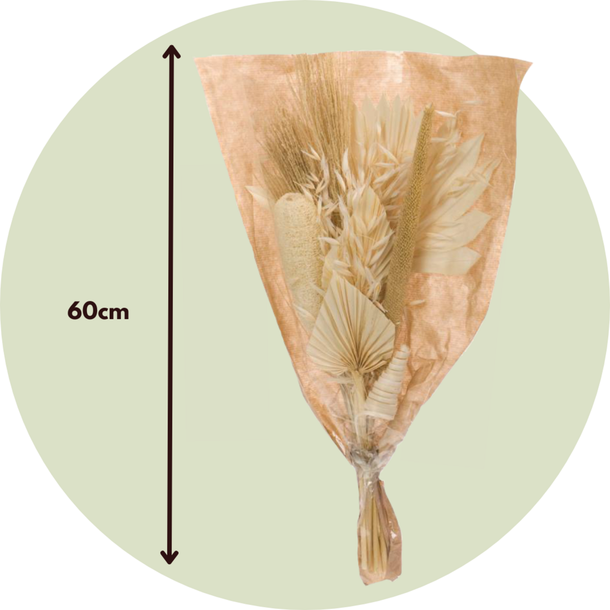 PLANT IN A BOX Fleurs séchées - Bouquet 'Scandinavian Dream'