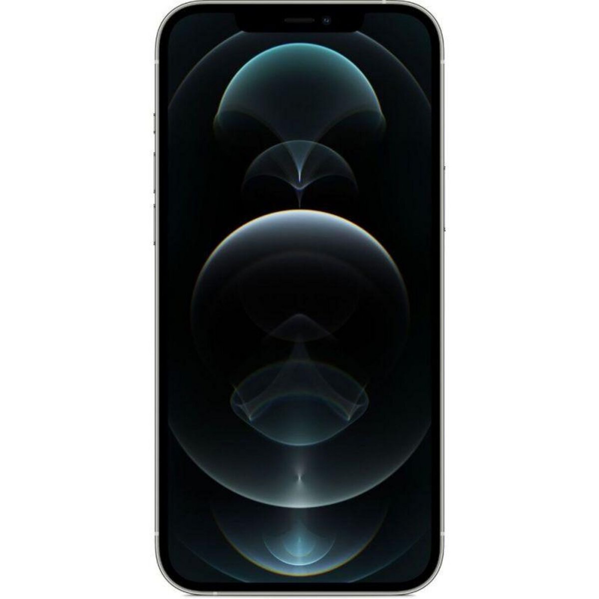 APPLE iPhone 12 Pro Max reconditionné 256 Go - Grade C - Argent