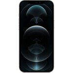 APPLE iPhone 12 Pro Max reconditionné 256 Go - Grade C - Argent