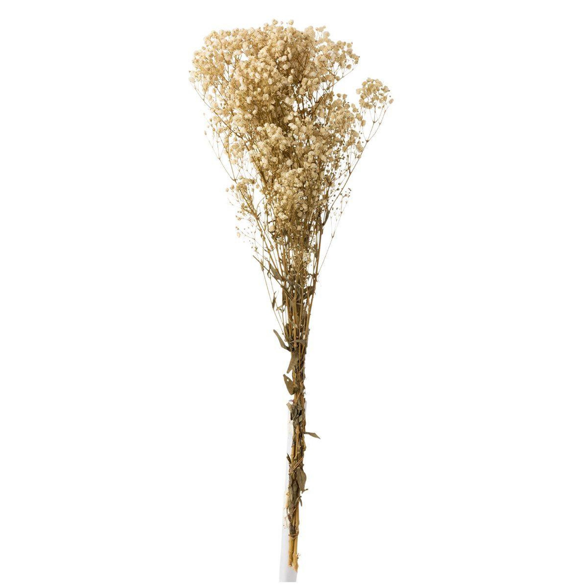 J-LINE Bouquet de fleurs  gypsophile séché  84cm écru