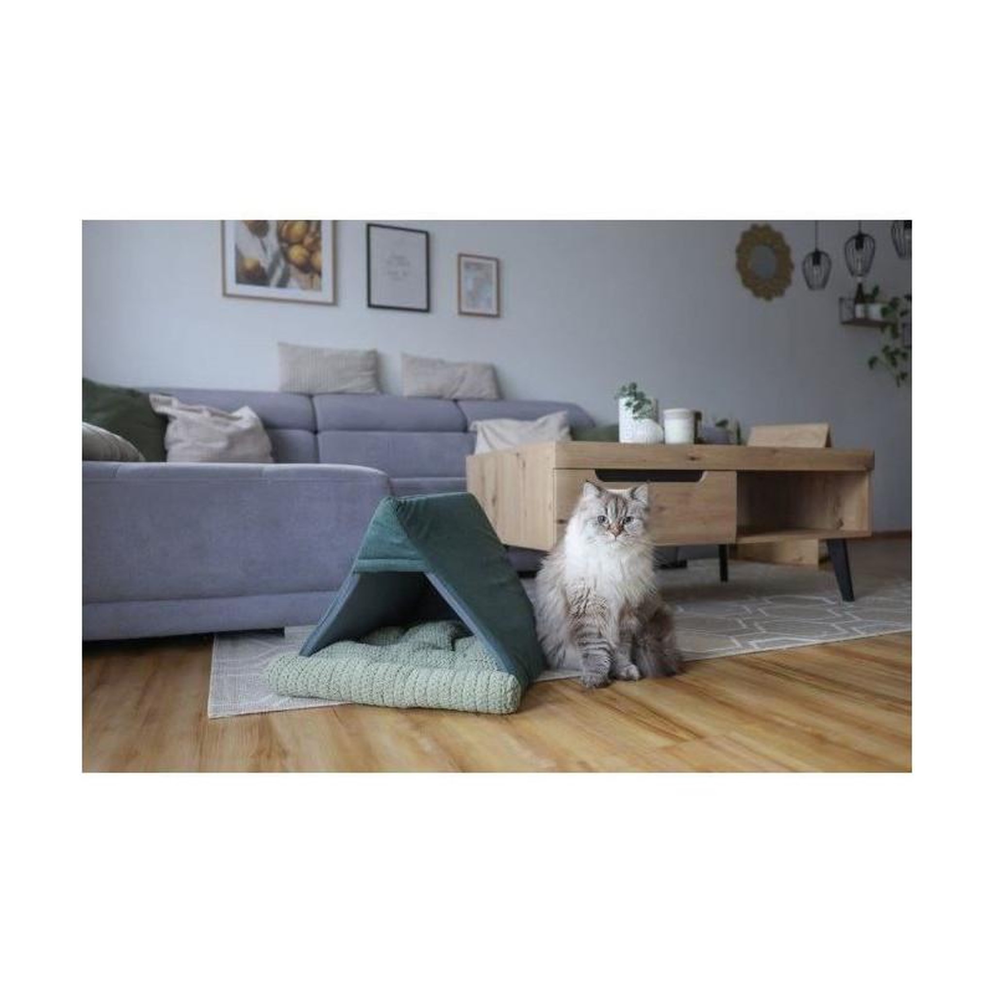 Voir la diapositive 3 : KERBL Couchette pour chats - KERBL - ANNE - 45 x 40 x 34 cm - Vert
