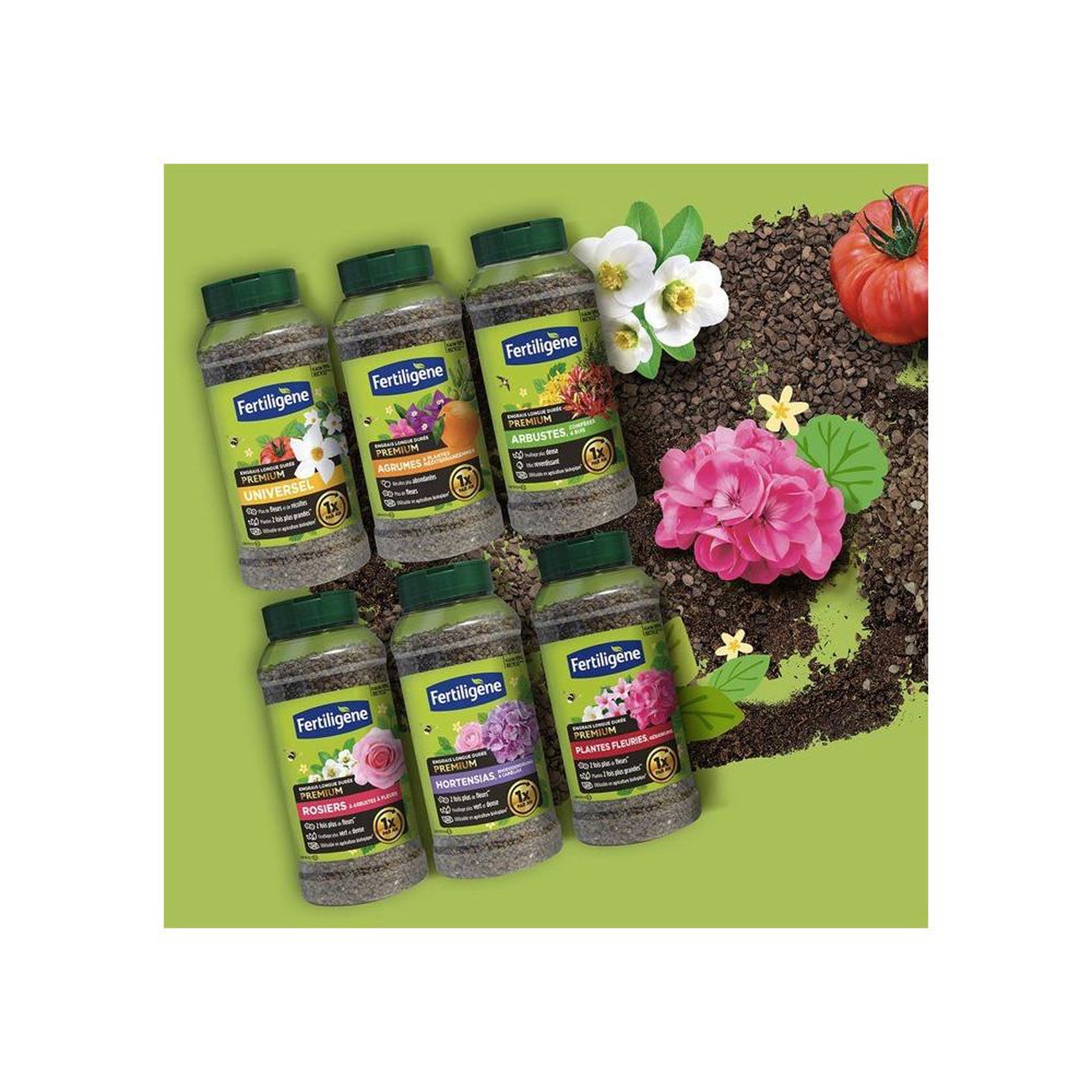 Voir la diapositive 5 : Fertiligene Fertiligene engrais long action plantes fleuries géraniums et dipladénias, granulés 600 g