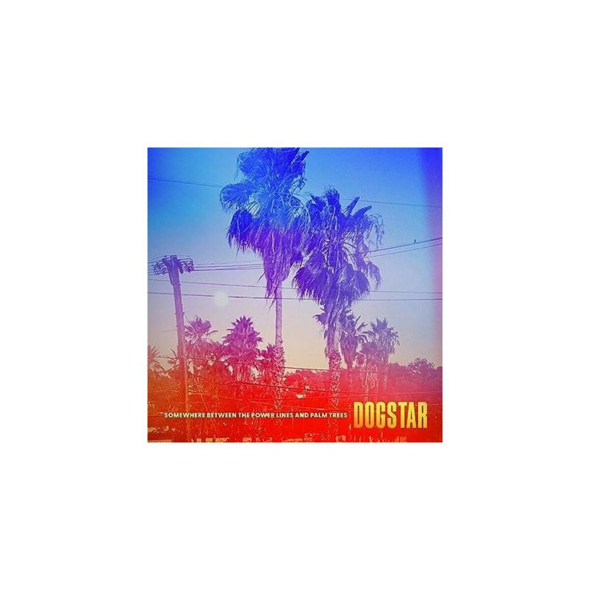 Somewhere Between The Power Lines And Palm Trees