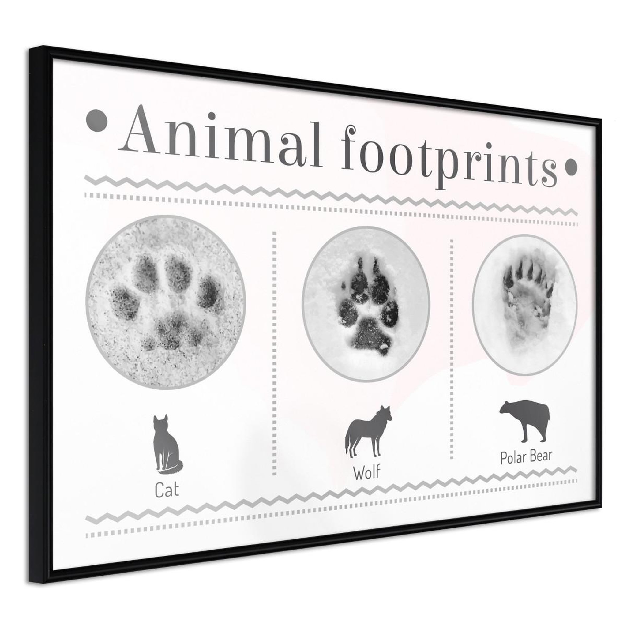 Paris Prix Affiche murale encadrée  how to recognize an animal
