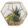 Voir la diapositive 1 : ATMOSPHERA Plante Artificielle & Terrarium Déco  Julie  17cm Or