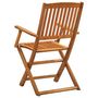 Voir la diapositive 5 : VIDAXL Chaises pliables d'exterieur lot de 4 Bois d'acacia solide