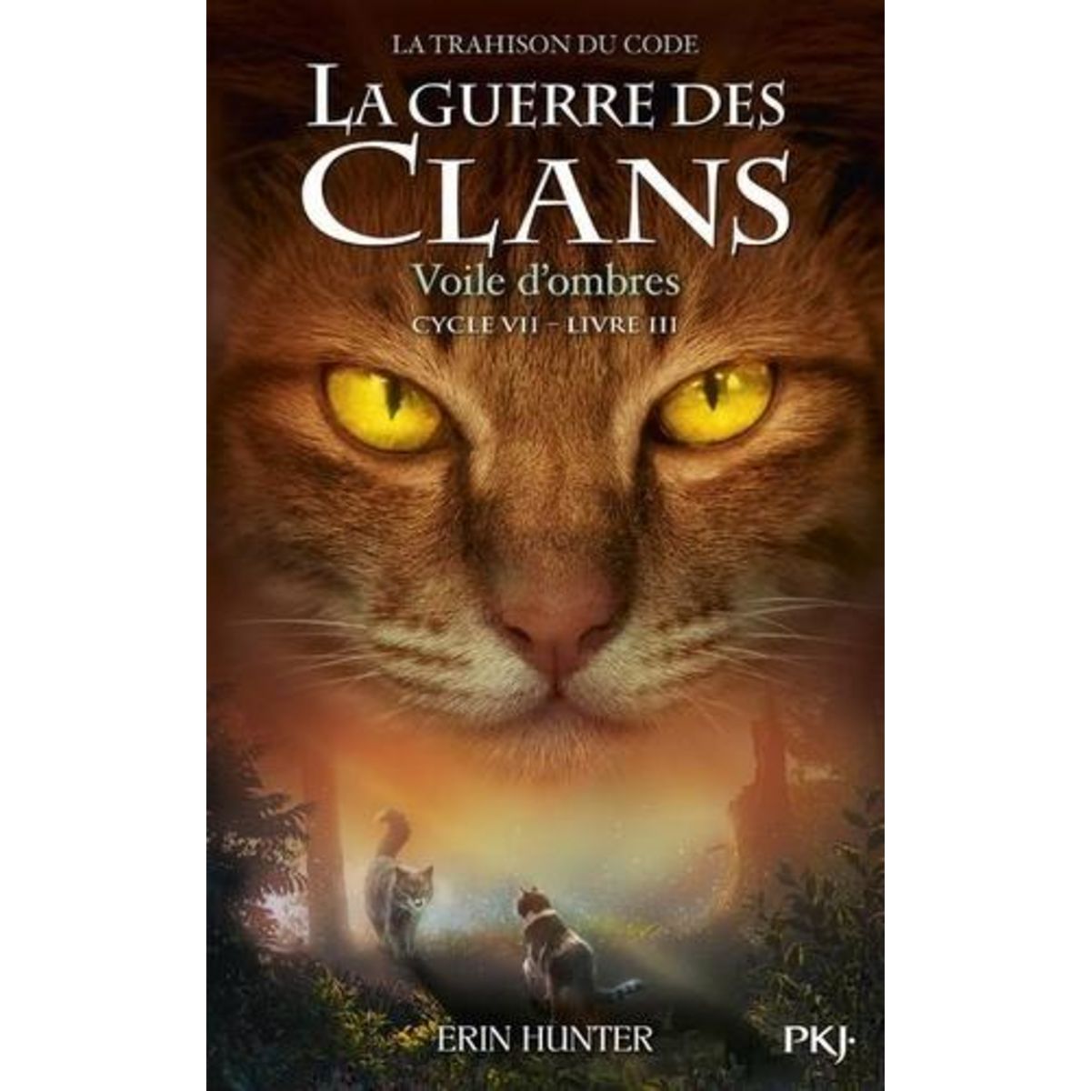 LA GUERRE DES CLANS : LA TRAHISON DU CODE (CYCLE VII) TOME 3 : VOILE D'OMBRES, Hunter Erin