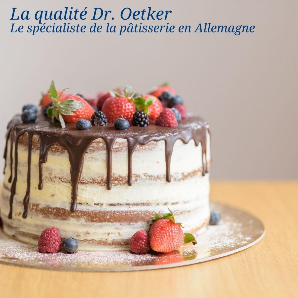 DR.OETKER Moule à manqué en silicone de 26 cm Dr. Oetker Flexxibel Love