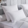 Voir la diapositive 1 : DODO Oreiller 70% Duvet d'Oie MEDIUM