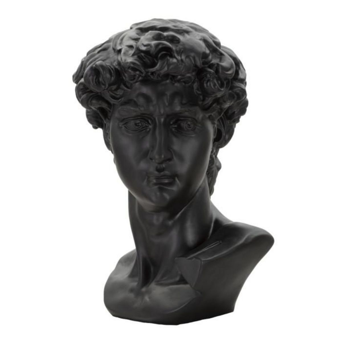 Paris Prix Statue Tête Homme  Irvin  60cm Noir