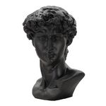 Paris Prix Statue Tête Homme  Irvin  60cm Noir