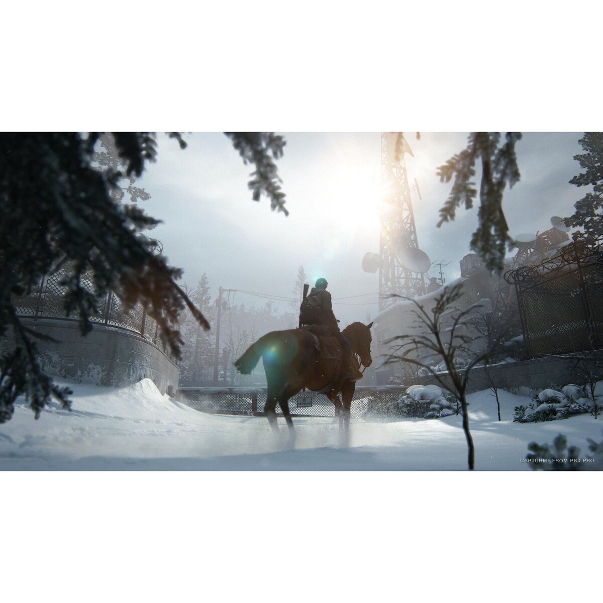 SONY The Last of Us Part II PS4