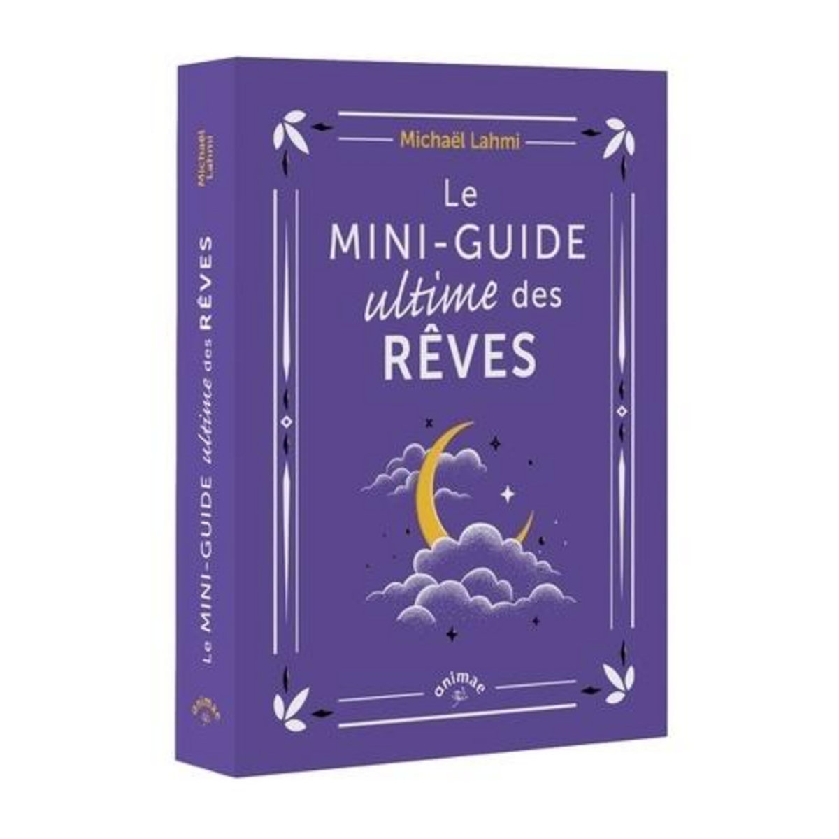 LE MINI-GUIDE ULTIME DES REVES, Lahmi Mickaël
