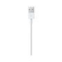 Voir la diapositive 4 : APPLE Câble Lightning vers USB 0.5m