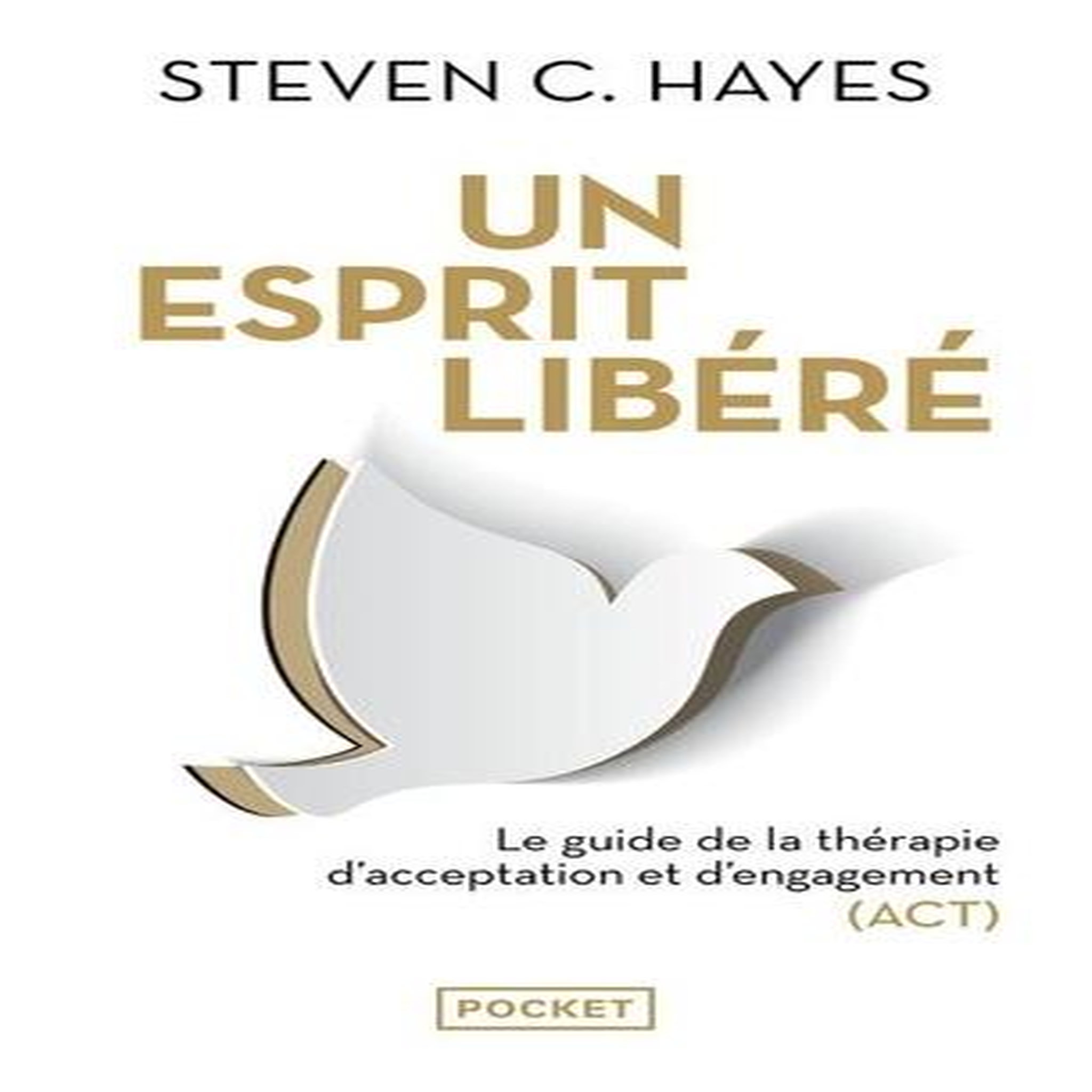 UN ESPRIT LIBERE. LE GUIDE DE LA THERAPIE D'ACCEPTATION ET D'ENGAGEMENT (ACT), Hayes Steven C.