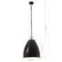 Voir la diapositive 6 : VIDAXL Lampe suspendue industrielle 25 W Noir Rond 32 cm E27