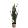 Voir la diapositive 2 : EMERALD Emerald Plante artificielle Sanseveria en pot 84 cm
