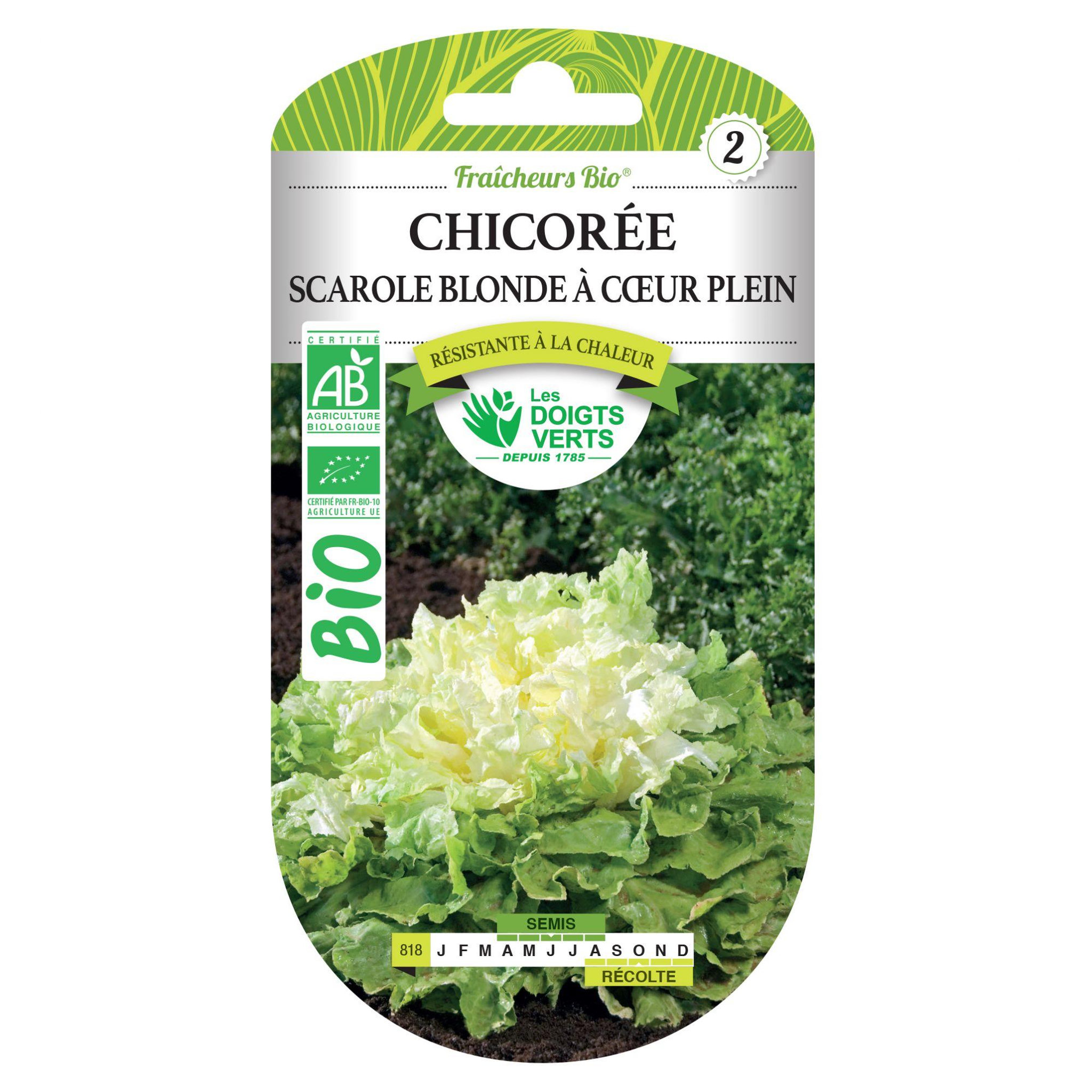 Voir la diapositive 2 : LES DOIGTS VERTS Graines Chicorée scarole blonde coeur plein BIO Les Doigts Verts