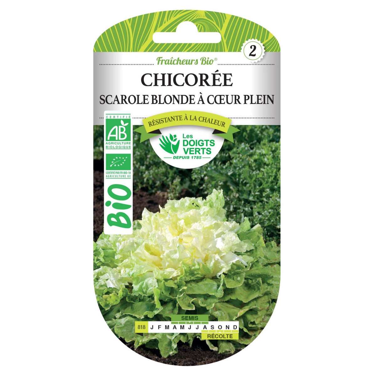 LES DOIGTS VERTS Graines Chicorée scarole blonde coeur plein BIO Les Doigts Verts