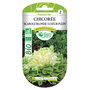 Voir la diapositive 2 : LES DOIGTS VERTS Graines Chicorée scarole blonde coeur plein BIO Les Doigts Verts