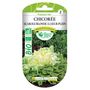 Voir la diapositive 2 : LES DOIGTS VERTS Graines Chicorée scarole blonde coeur plein BIO Les Doigts Verts