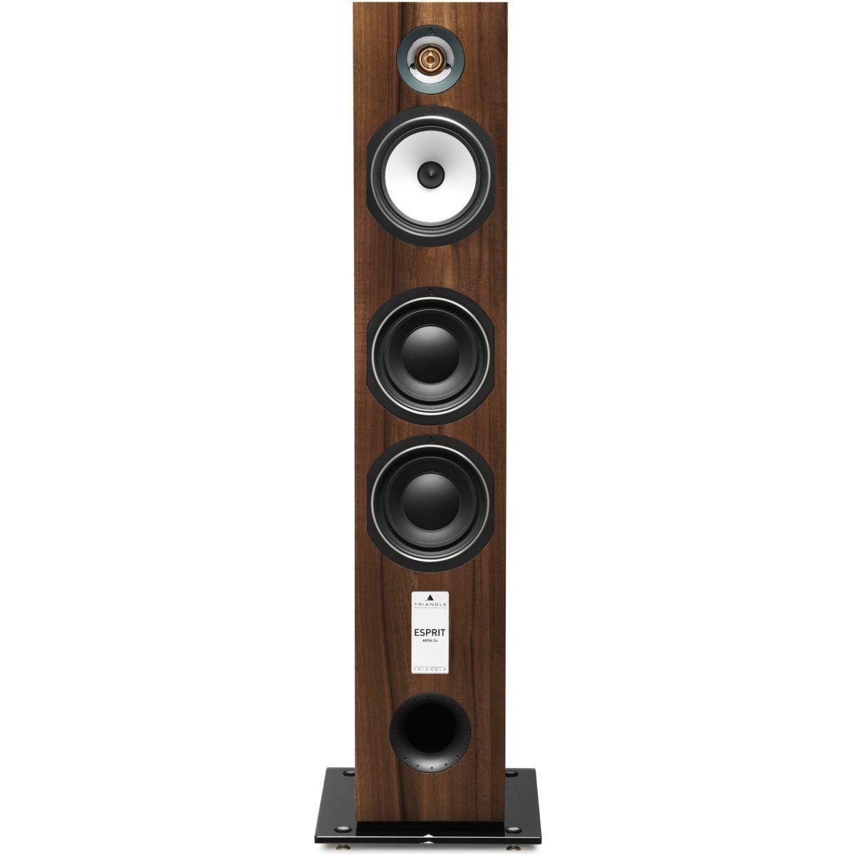 Triangle Enceinte colonne ANTAL EZ Chataigner x1