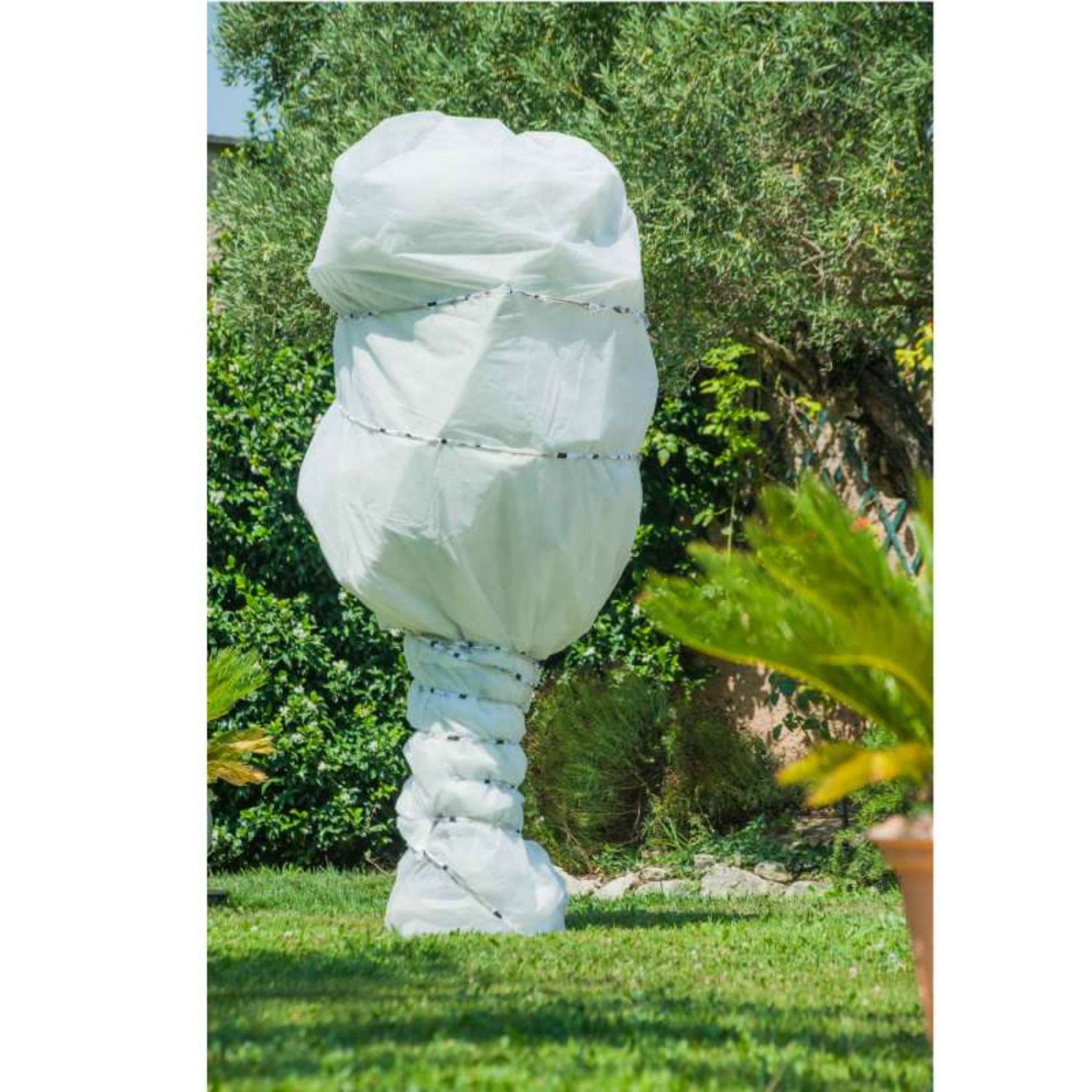 Voir la diapositive 2 :  Voile d'hivernage blanc 30g/m2 Werkapro 2 x 10 m