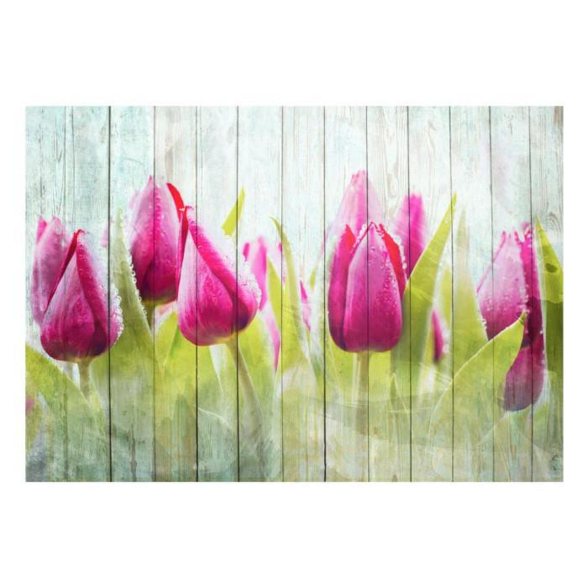 Paris Prix Papier Peint  Tulips on White Wood