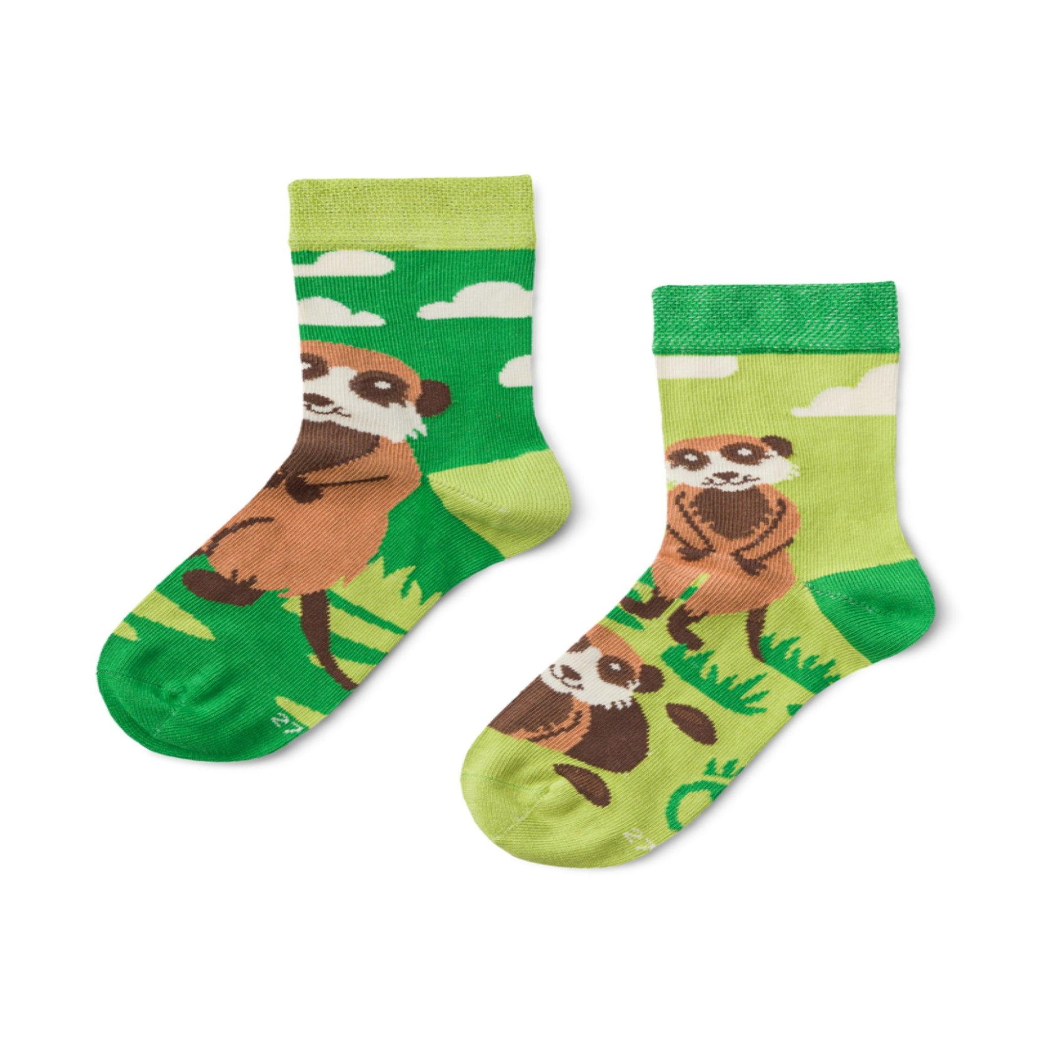 DEDOLES Chaussettes enfants suricates. Coloris disponibles : Vert
