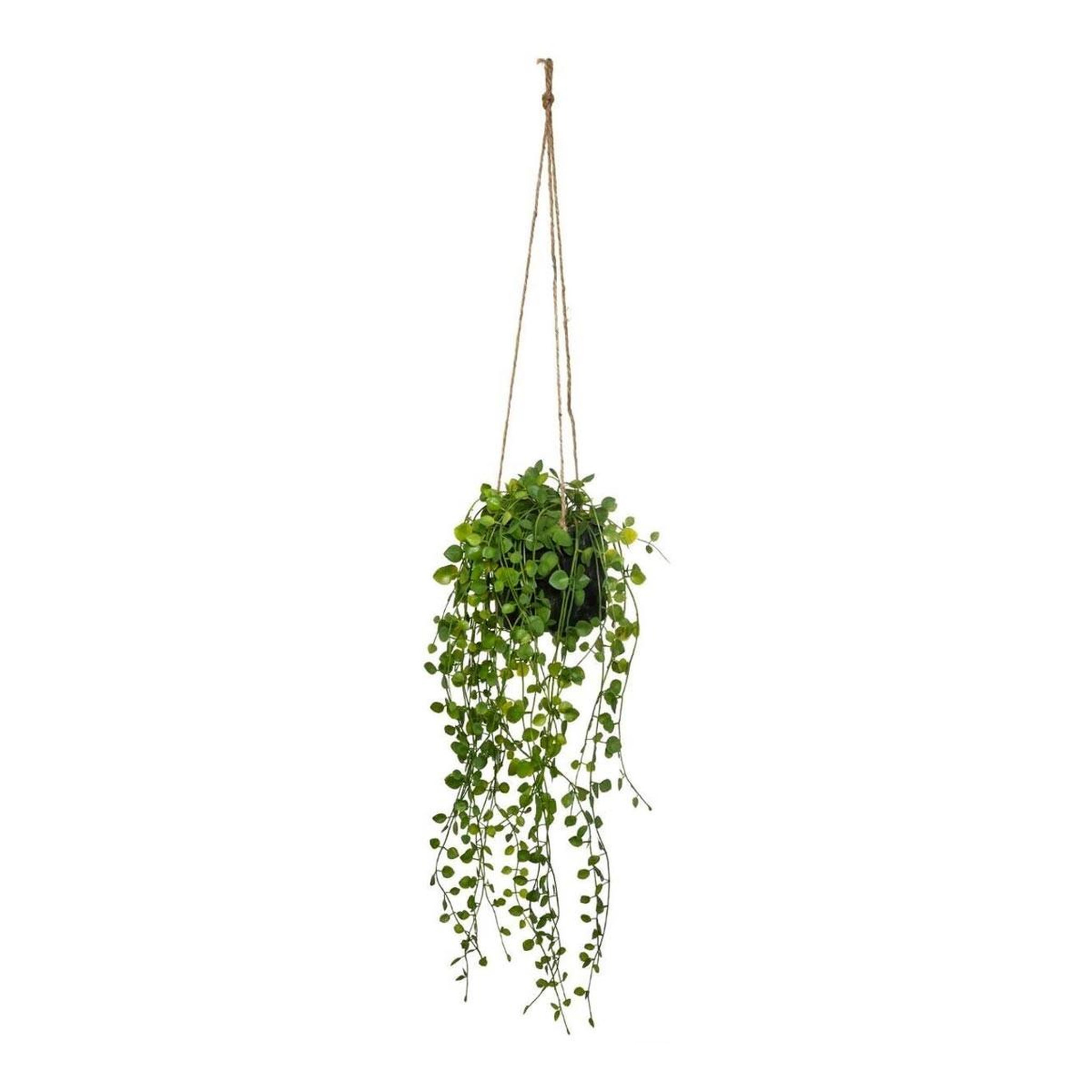 ATMOSPHERA Plante artificielle à suspendre  living  62cm vert