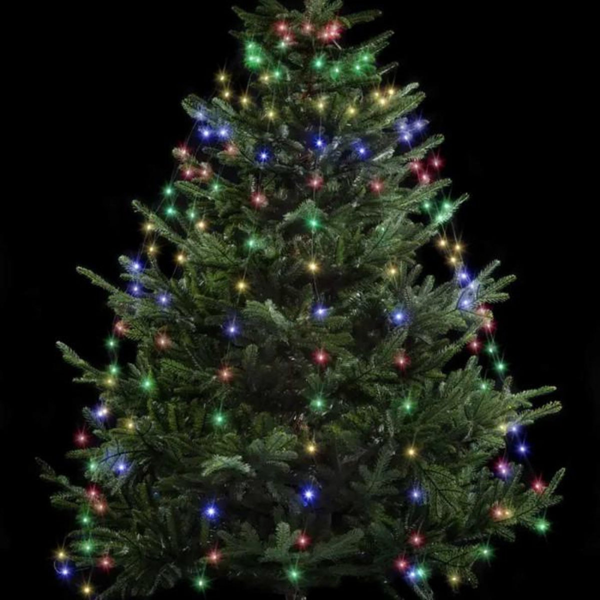 FEERIC LIGHT & CHRISTMAS Guirlande Lumineuse Extérieur  Robe  220cm Multicolore