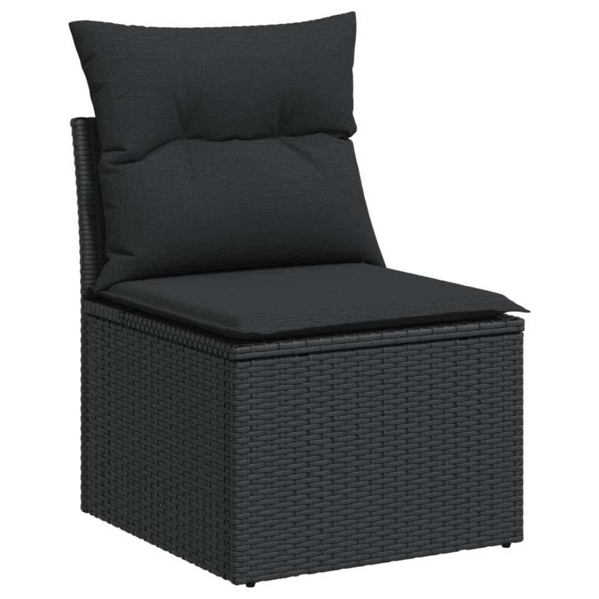 VIDAXL Salon de jardin 11 pcs avec coussins noir resine tressee