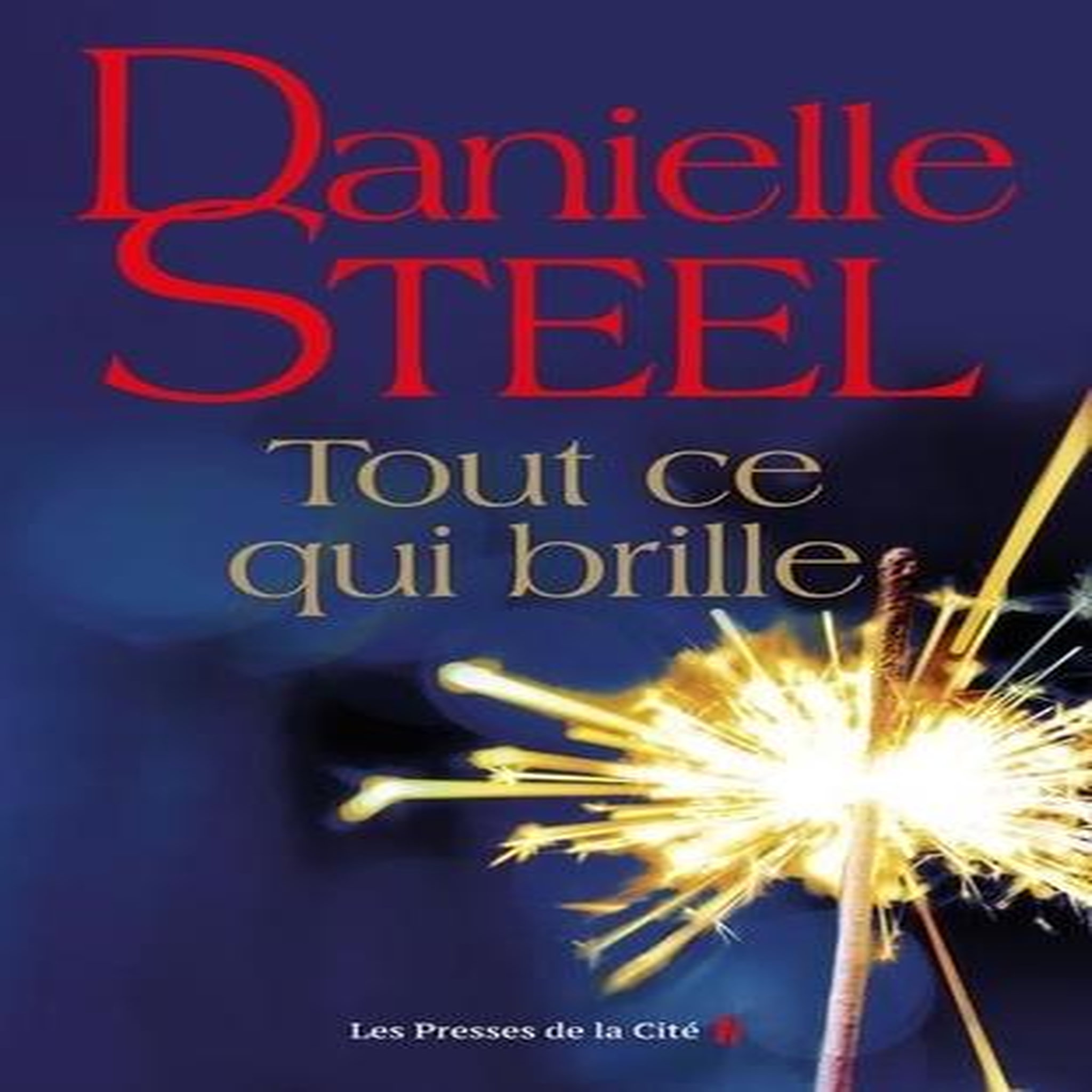 TOUT CE QUI BRILLE, Steel Danielle