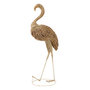 Voir la diapositive 1 : Paris Prix Flamant Rose Herbe  Afrique  138cm Naturel