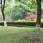 VIDAXL Corde lâche pour slackline 15 m x 50 mm 150 kg Jaune