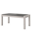 Table de séjour salle à manger fixe L180cm MEL
