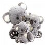 Voir la diapositive 2 : Histoire D'Ours Koala 25 cm HO2969
