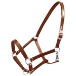 VIDAXL Licol Licou en cuir réglable pour écurie Cheval Marron