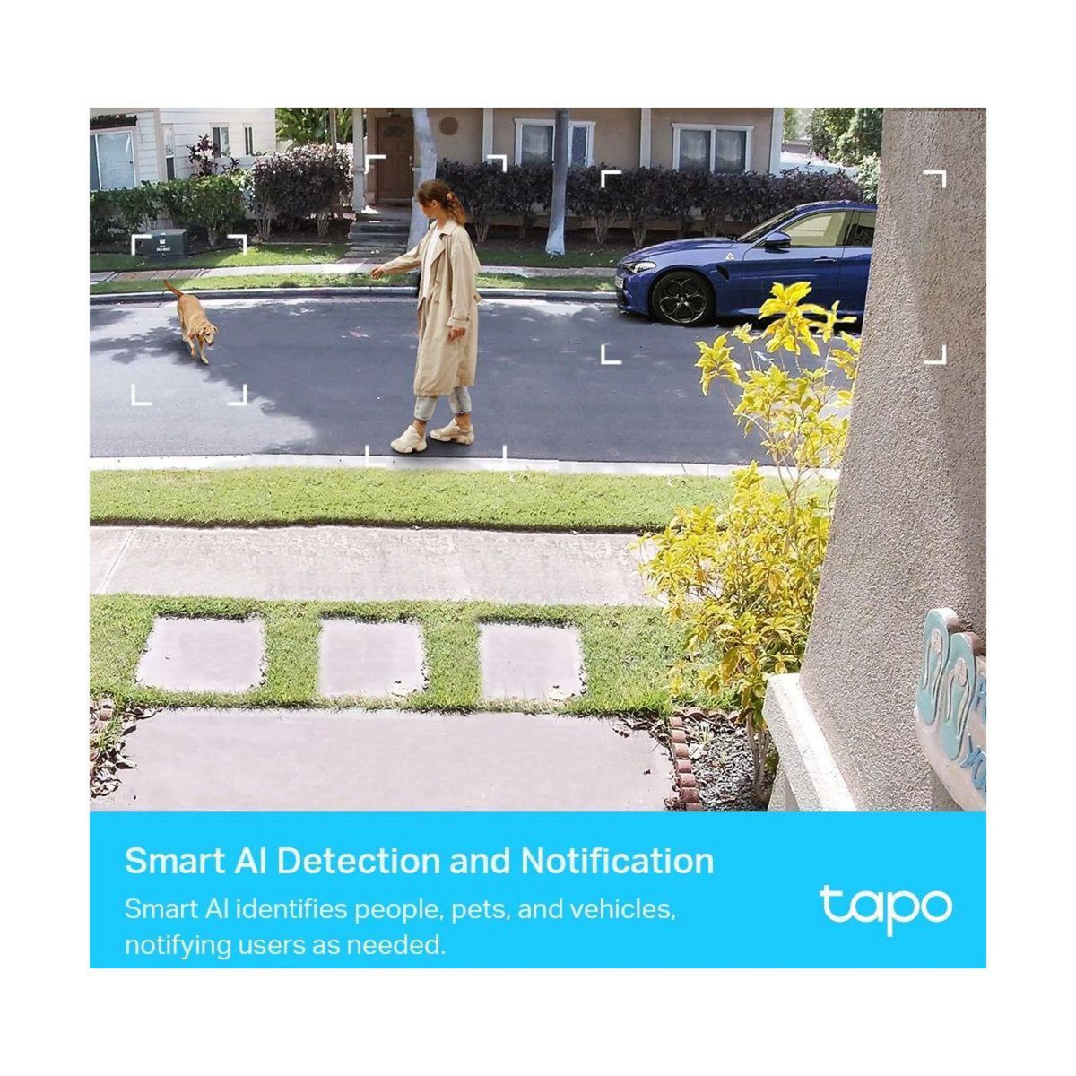 TP-LINK Pack Wifi Tapo C420 2cams.+hub