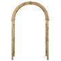 Voir la diapositive 2 : VIDAXL Arche avec treillis Bois de pin vert impregne