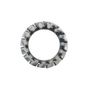 Voir la diapositive 1 :  Rondelle éventail type AZ zinguée Vissal Ø 8mm  lot de 24 rondelles